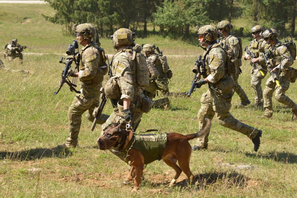 75th Ranger Regiment refpic - 3M ARC Rail Adapter, 3M Peltor, AN/PEQ-15 ...